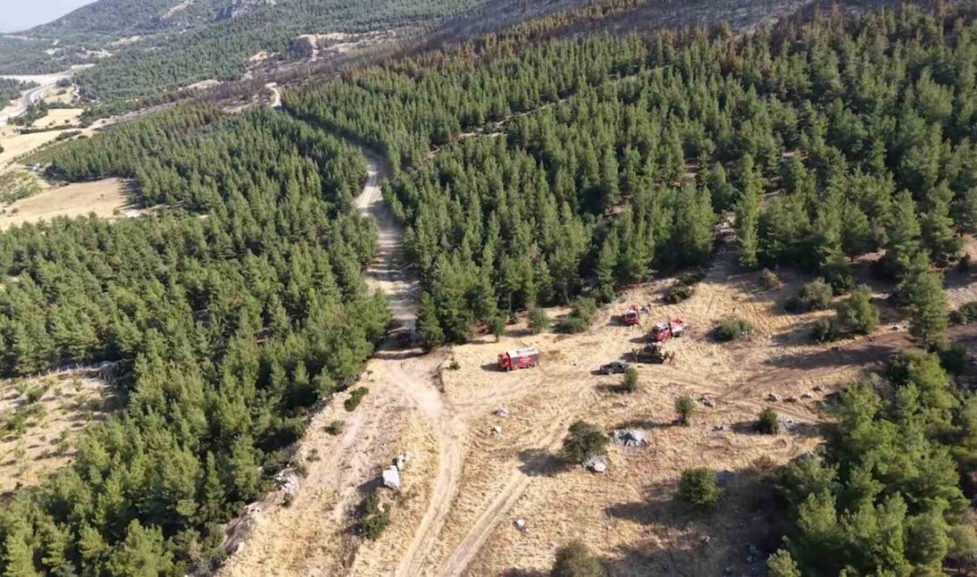 Denizli’nin Pamukkale ilçesi Cankurtaran mahallesine kontrol altına alınan yangının bıraktığı