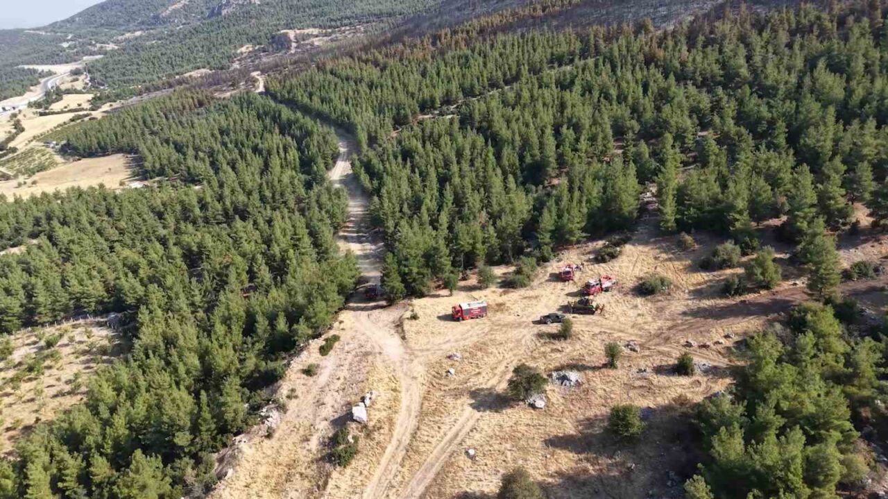 Denizli’nin Pamukkale ilçesi Cankurtaran mahallesine kontrol altına alınan yangının bıraktığı