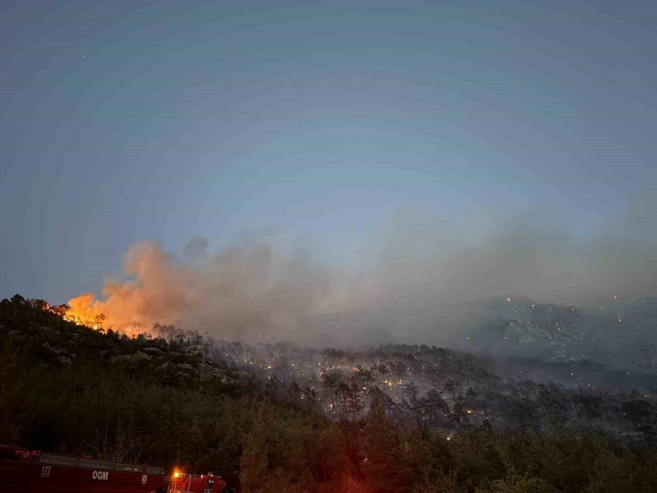 Denizli’nin Pamukkale ilçesi Cankurtaran Mahallesi’nde çıkan orman yangını kontrol altına