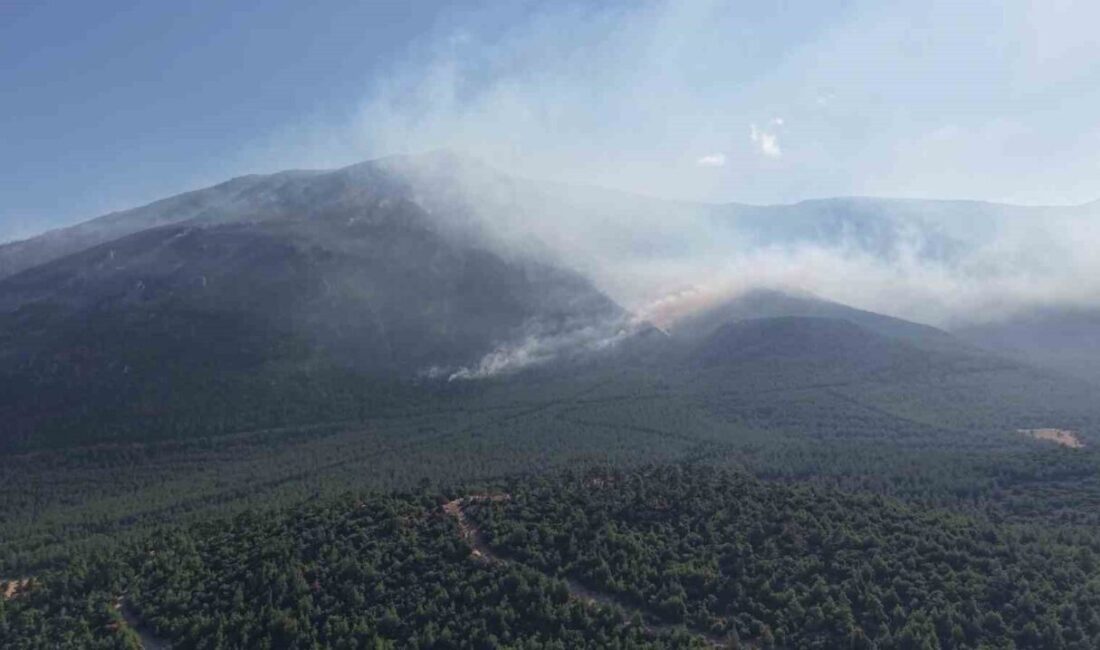 Denizli’nin Pamukkale ilçesinde Cumartesi günü öğleden sonra başlayan yangının tamamen