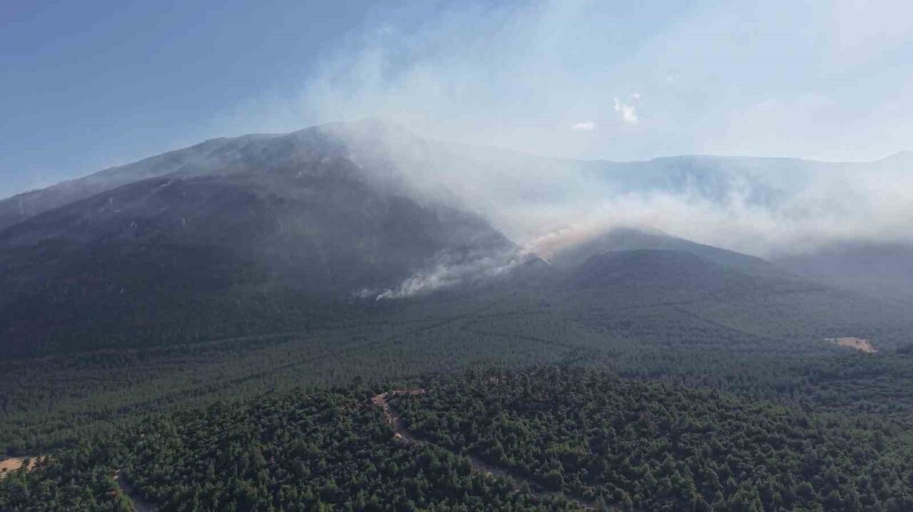 Denizli’nin Pamukkale ilçesinde Cumartesi günü öğleden sonra başlayan yangının tamamen
