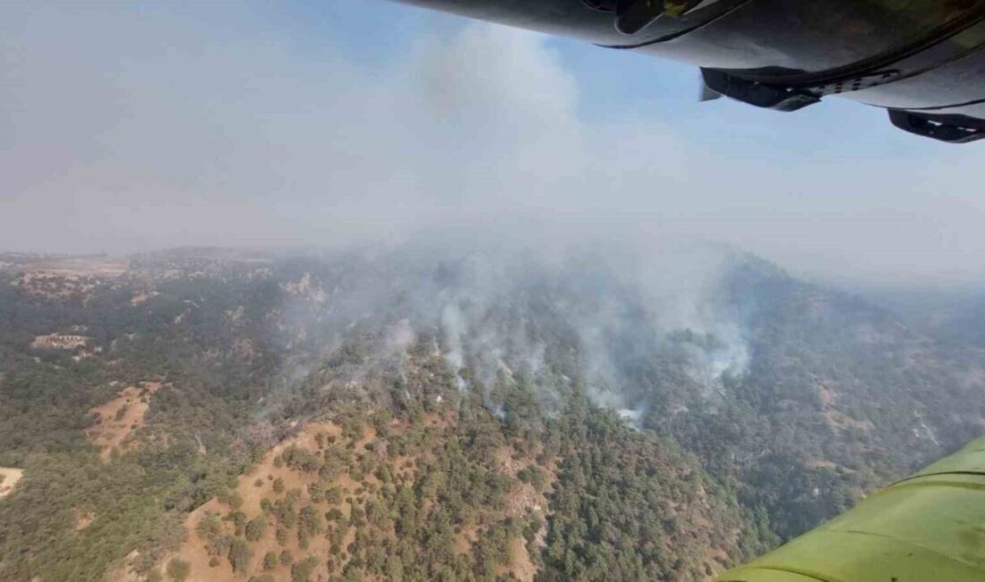 Denizli’nin Buldan ilçesinde başlayıp Aydın’ın Buharkent ilçesine yayılan orman yangınında