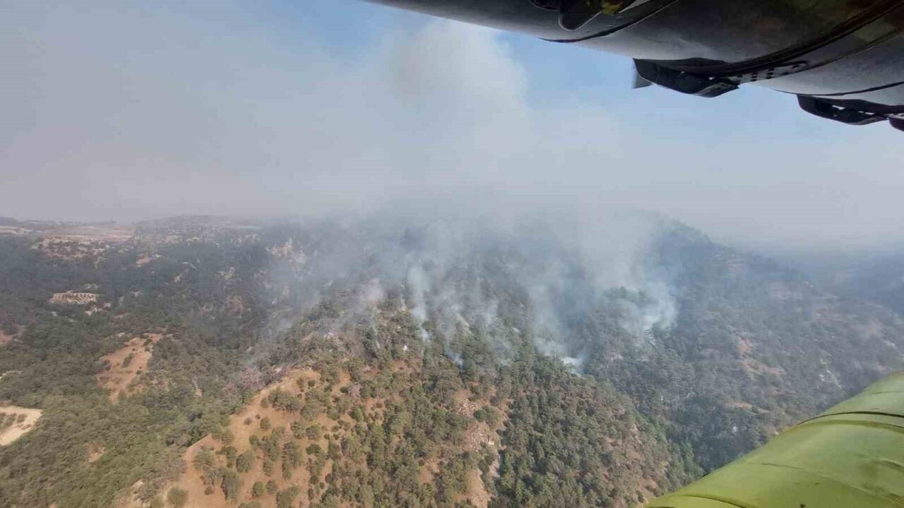 Denizli’nin Buldan ilçesinde başlayıp Aydın’ın Buharkent ilçesine yayılan orman yangınında