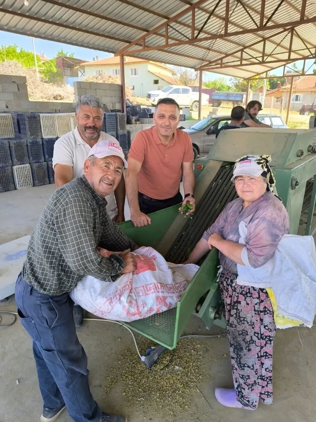 Afyonkarahisar’ın Dinar ilçesinde merkeze bağlı olan köylerde turşu yapımında kullanılmak