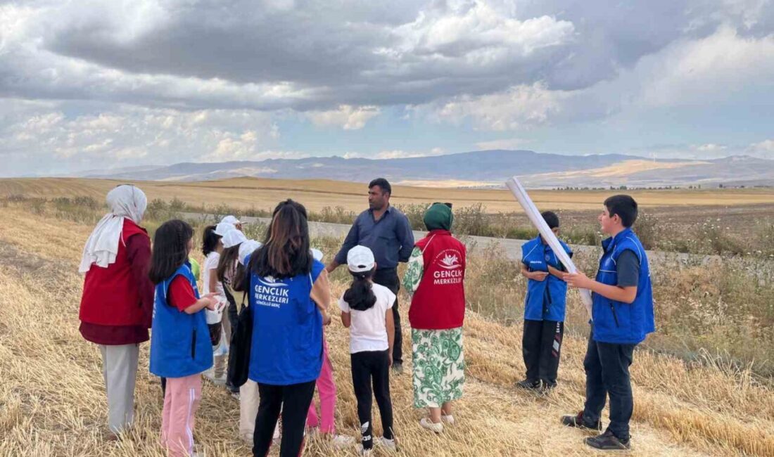 Ağrı’nın Diyadin ilçesinde Gençlik Merkezi gönüllüleri, modern tarım teknikleriyle gerçekleştirilen