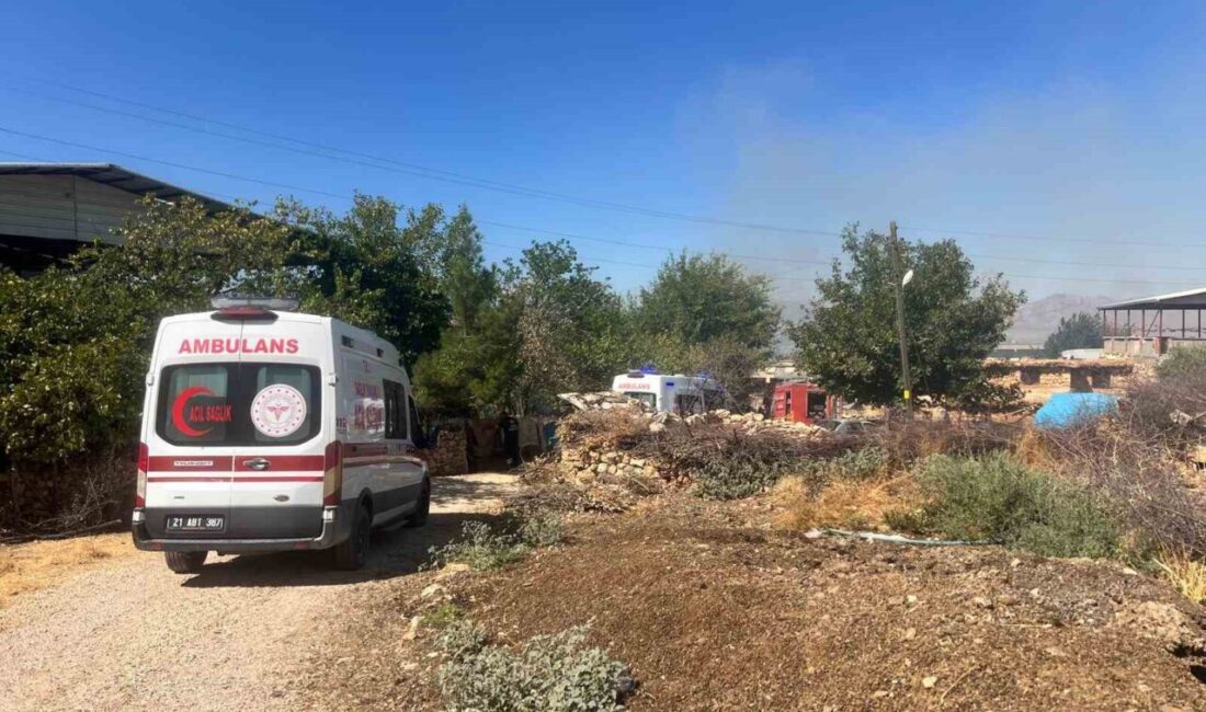 Diyarbakır Valiliği, Lice ilçesinde çıkan örtü yangınında 3 kişinin dumandan
