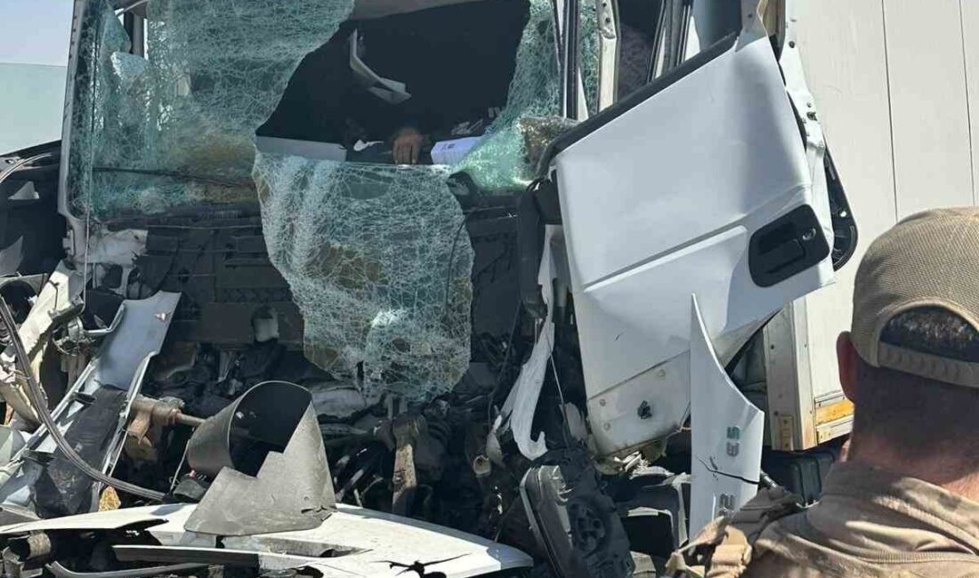 Diyarbakır’ın Silvan ilçesinde kamyona arkadan çarpan tır sürücüsü hayatını kaybetti.