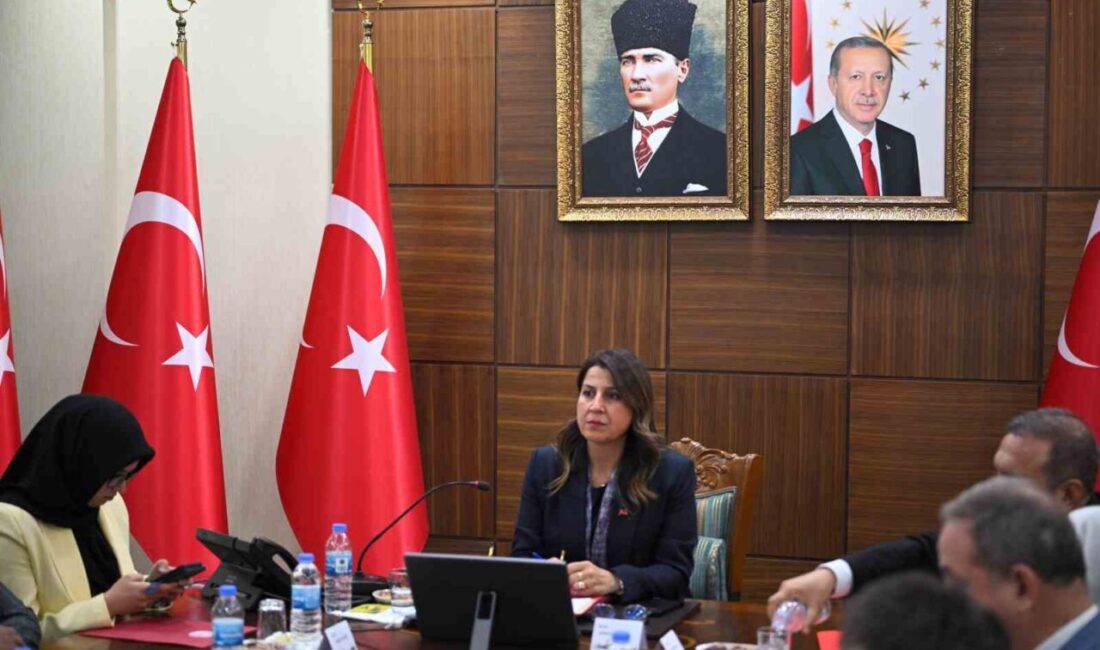 Güneydoğu Anadolu Bölgesi kadın hizmetleri bölgesel istişare toplantısı Diyarbakır’da gerçekleştirildi.