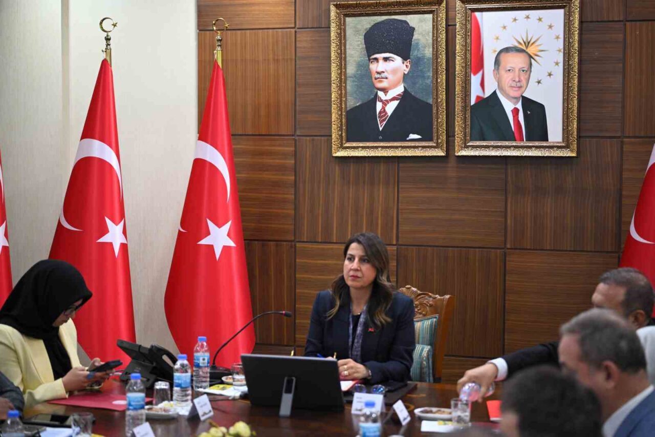 Güneydoğu Anadolu Bölgesi kadın hizmetleri bölgesel istişare toplantısı Diyarbakır’da gerçekleştirildi.