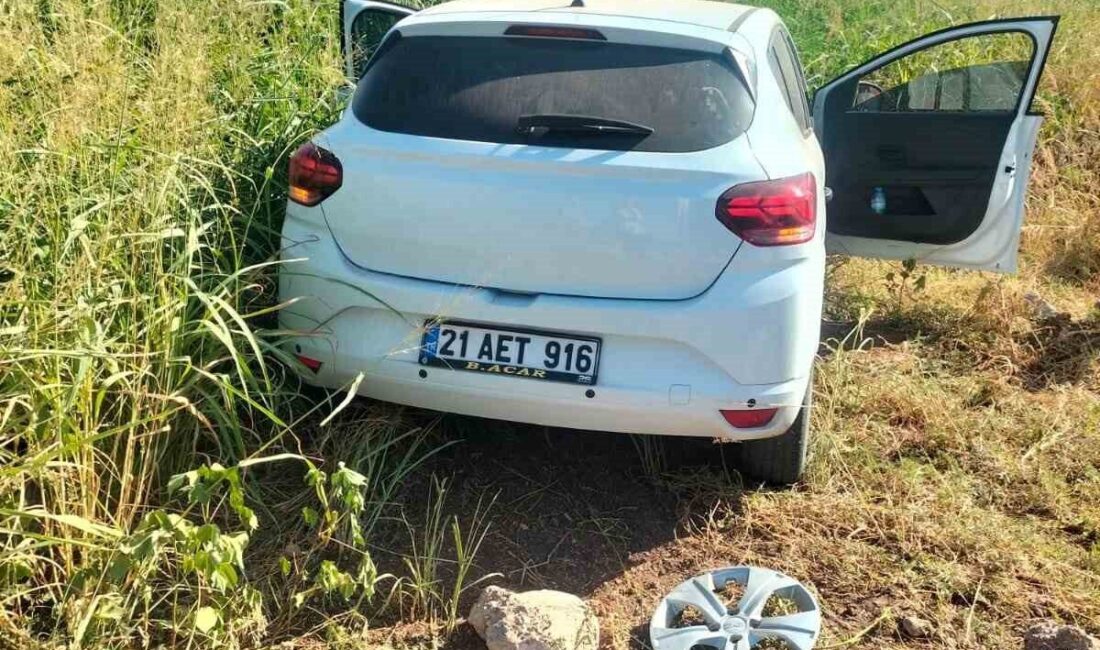 Diyarbakır’ın Çınar ilçesinde sürücüsünün direksiyon hakimiyetini kaybettiği otomobil tarlaya uçtu.