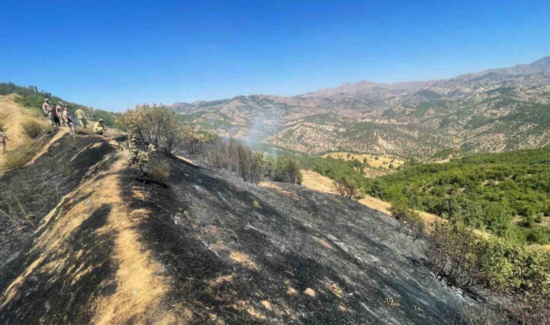 Diyarbakır’ın Lice ilçesinde üç farklı noktada çıkan örtü ve orman