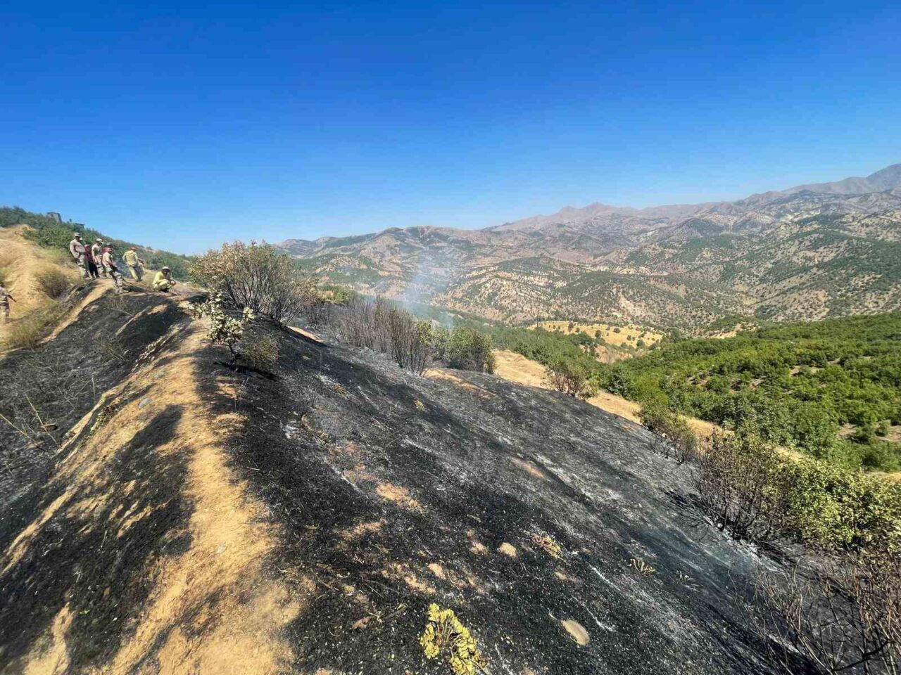 Diyarbakır’ın Lice ilçesinde üç farklı noktada çıkan örtü ve orman