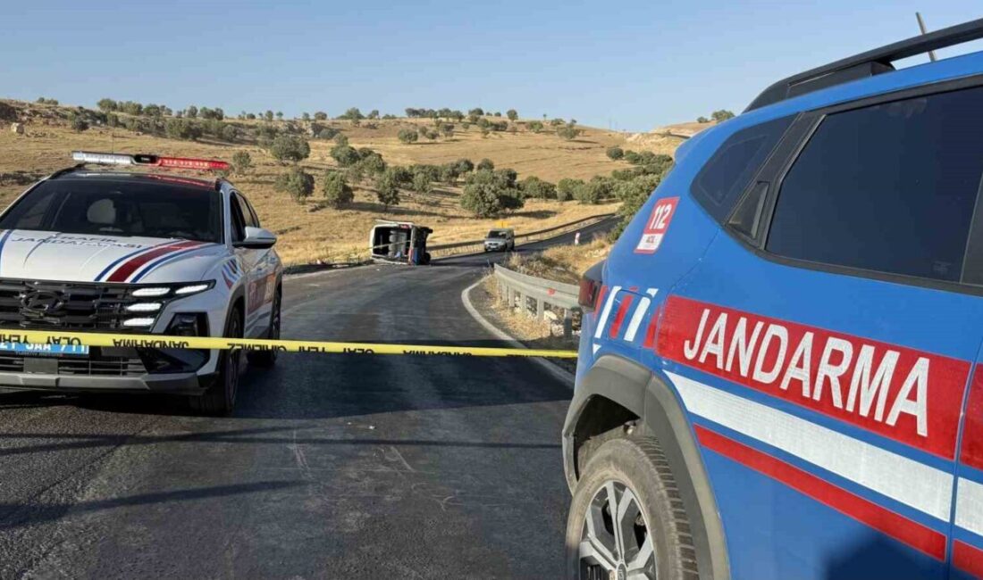 Diyarbakır Valisi Murat Zorluoğlu, Eğil ilçesinde meydana gelen trafik kazasında