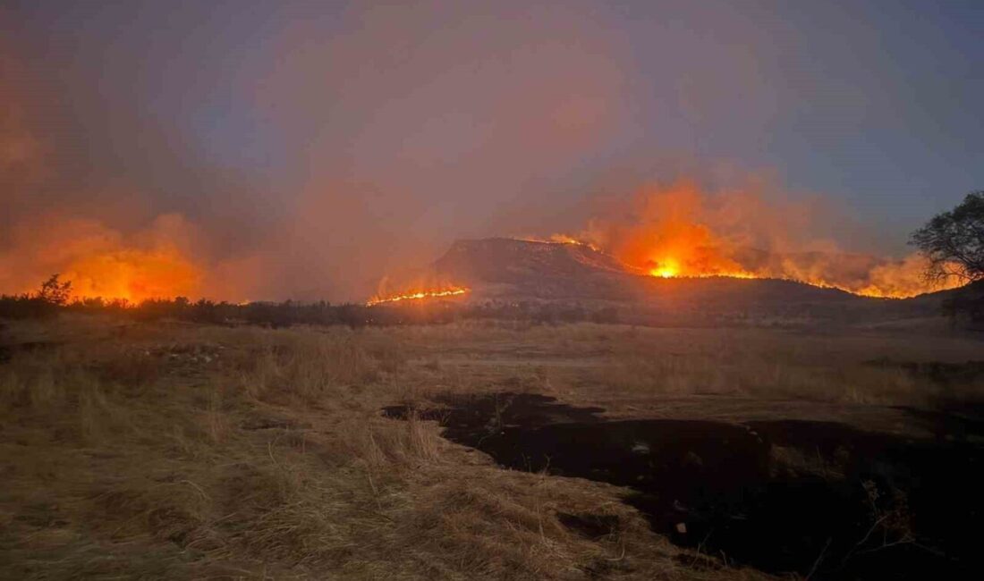 Diyarbakır’ın Lice, Kocaköy ve Hani ilçelerinin kırsal mahallelerini etkileyen örtü
