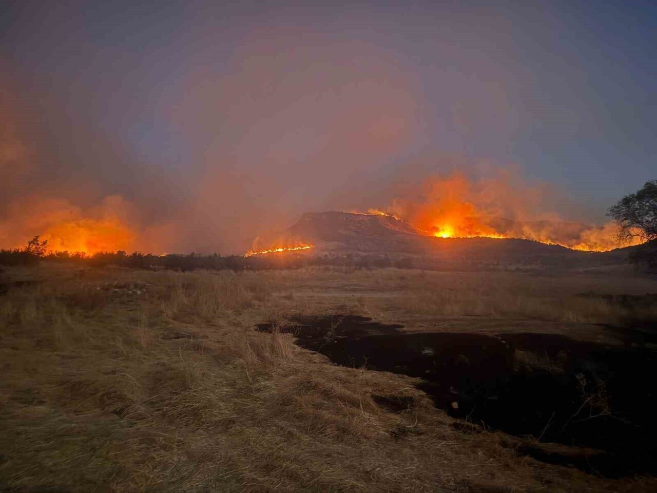Diyarbakır’ın Lice, Kocaköy ve Hani ilçelerinin kırsal mahallelerini etkileyen örtü