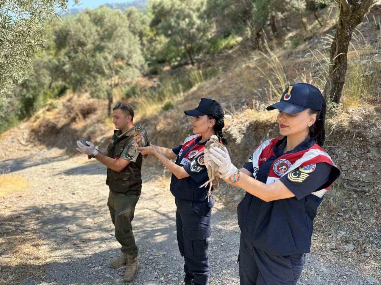 Aydın’ın Efeler ilçesinde yapılan faaliyette kaçak av ile yakalanan 25