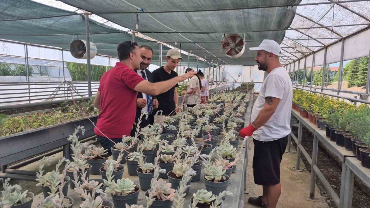 BARTIN (İHA) – Avrupa Birliği ve Türkiye Cumhuriyeti’nin eş finansmanıyla