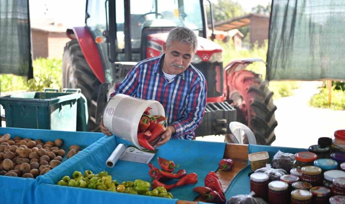 Kayseri Büyükşehir Belediyesi bünyesinde hizmet veren Anadolu Harikalar Diyarı içerisinde