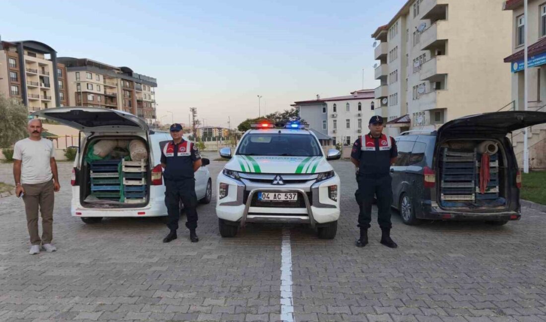 Ağrı’nın Doğubayazıt ilçesinde jandarma ekiplerinin ihbar üzerine düzenlediği operasyonda, kaçak