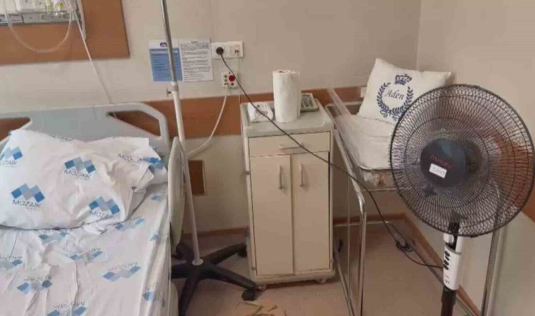 Hatay’da hizmet veren Özel Mozaik Hastanesi’nde evladının doğumu için 46