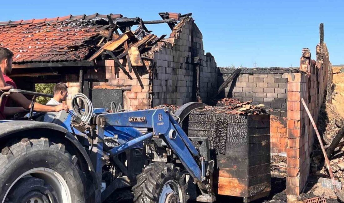 Kütahya’nın Domaniç ilçesinde hızar atölyesi olarak kullanılan bir binada çıkan