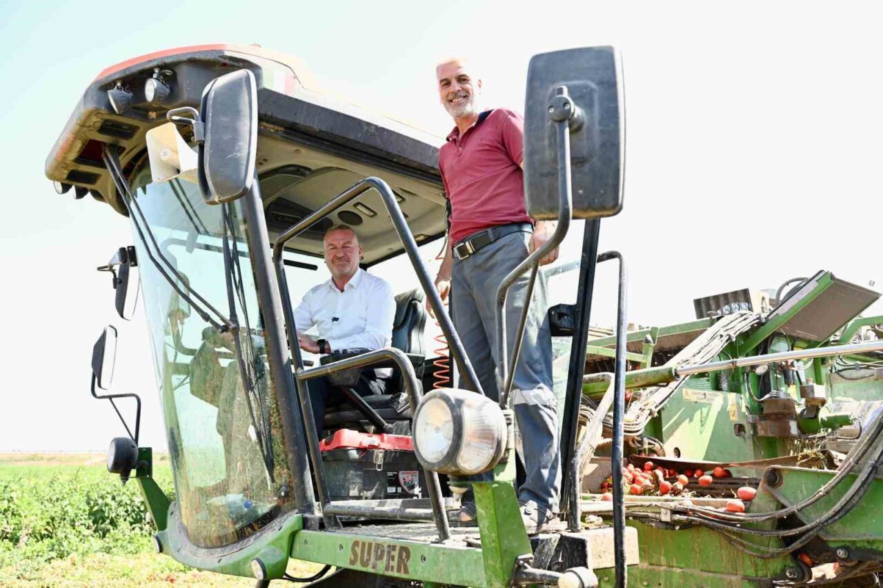 Türkiye’nin salçalık domates ihtiyacının yüzde 40’ını karşılayan Karacabey Ovası’nda hasat