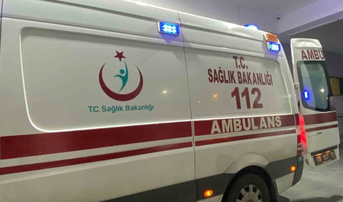 Aydın’ın Germencik ilçesinde iddiaya göre bahçesindeki ağaçların arasındaki hareketleri domuz