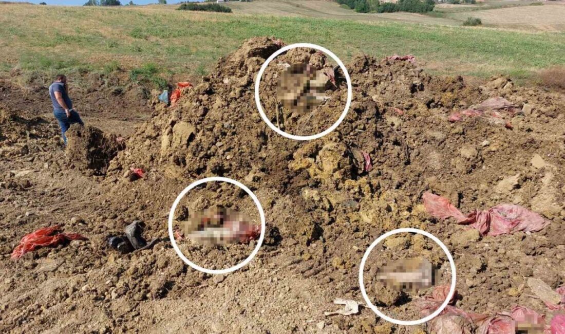 Samsun’da mezarlık yanında iş makineleriyle yapılan drenaj çalışması sırasında toprak