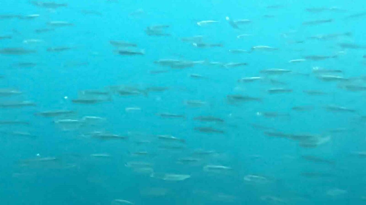 Türkiye’nin en büyük gölü ve dünyanın en büyük sodalı gölü