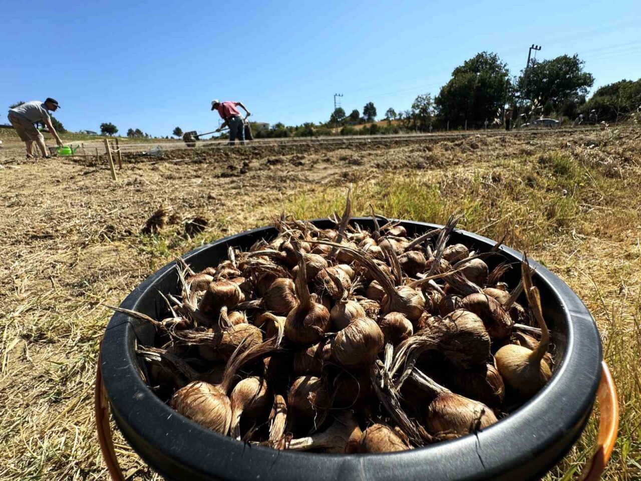 UNESCO Dünya Mirası Listesi’nde yer alan Karabük’ün Safranbolu ilçesinde, “dünyanın