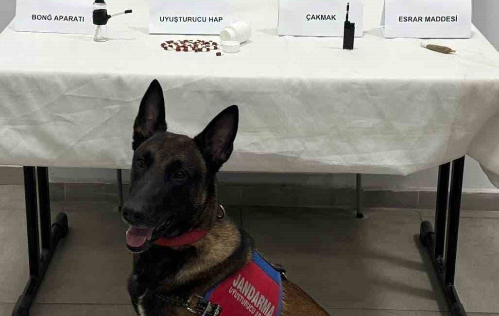 İzmir-Aydın Otoyolu Germencik gişelerinde durdurulan şüpheli araçta yapılan aramada uyuşturucu