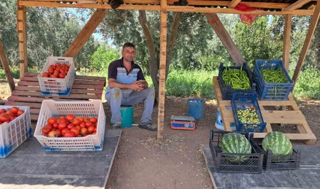Bursa’da yoldan geçerken, tarladan topladığı sebze ve meyvelerin parasını bıraktığı
