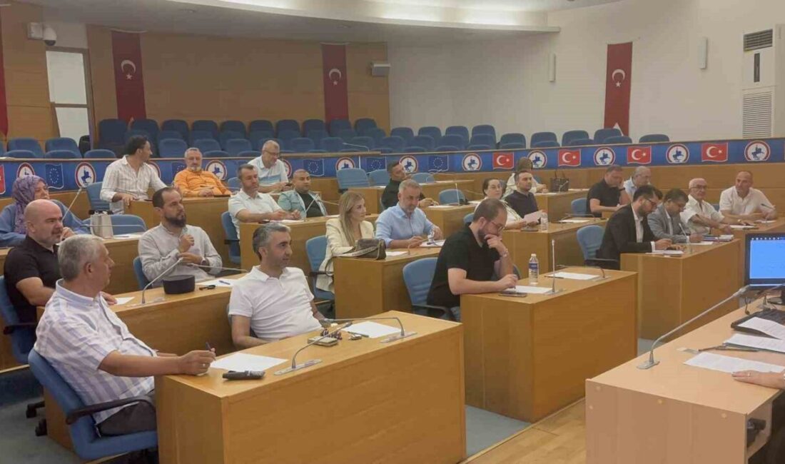 Düzce Belediye Meclisi, olağanüstü toplantıda bir araya geldi. Başkanvekili Av.