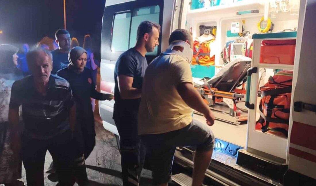 Düzce’de 3 aracın karıştığı zincirleme trafik kazasında 1 kişi yaralandı.