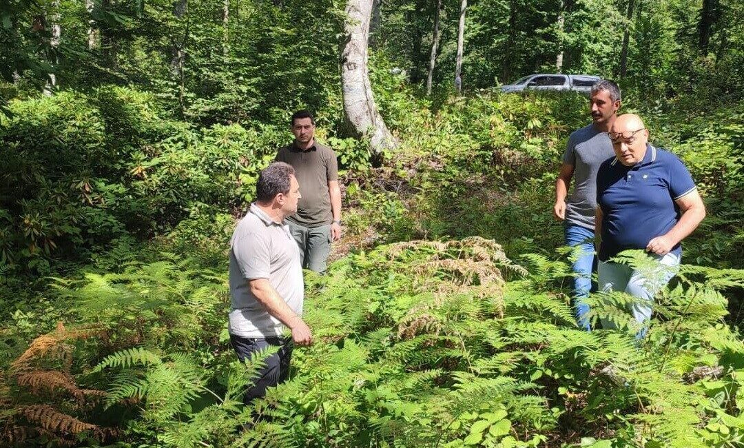 DÜZCE(İHA) – Düzce’de ormanlarda yürütülen gençleştirme çalışmaları yerinde incelinde. Düzce