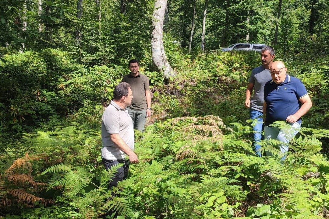 DÜZCE(İHA) – Düzce’de ormanlarda yürütülen gençleştirme çalışmaları yerinde incelinde. Düzce