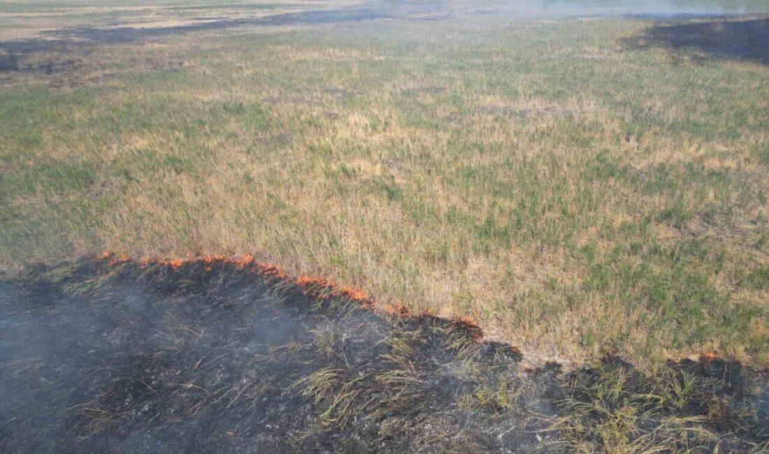 Afyonkarahisar’da 2 gün önce yangın çıkan Eber Gölü’nün çevresinde yeniden