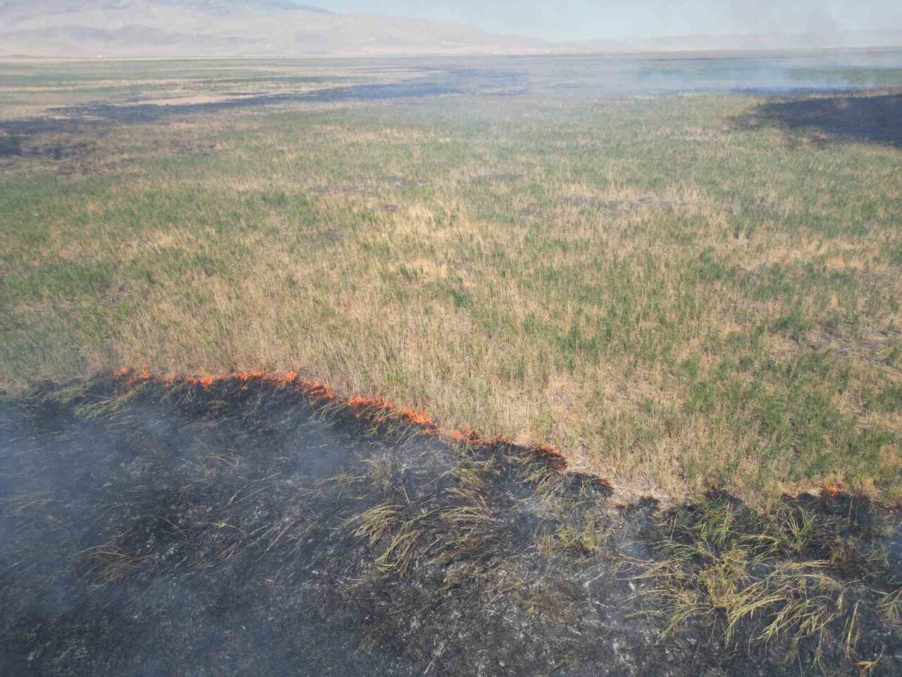 Afyonkarahisar’da 2 gün önce yangın çıkan Eber Gölü’nün çevresinde yeniden