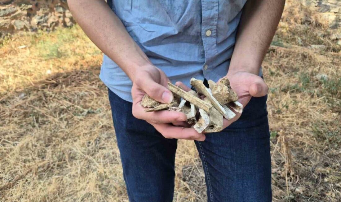 Tekirdağ’ın Süleymanpaşa ilçesi Çiftlikönü Mahallesi’nde bulunan Eski Şehir Mezarlığı’nda tarihi