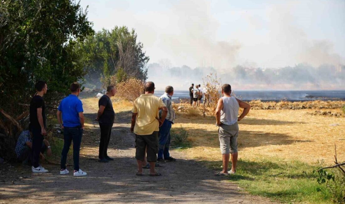 Edirne’de anız yangını, itfaiye ekiplerinin müdahalesiyle ahırlara ve evlere sıçramadan