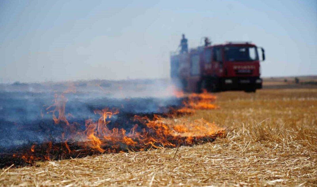 Edirne’de çıkan anız yangını, rüzgarın da etkisiyle kısa sürede büyüdü.