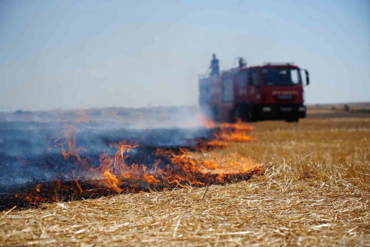 Edirne’de çıkan anız yangını, rüzgarın da etkisiyle kısa sürede büyüdü.