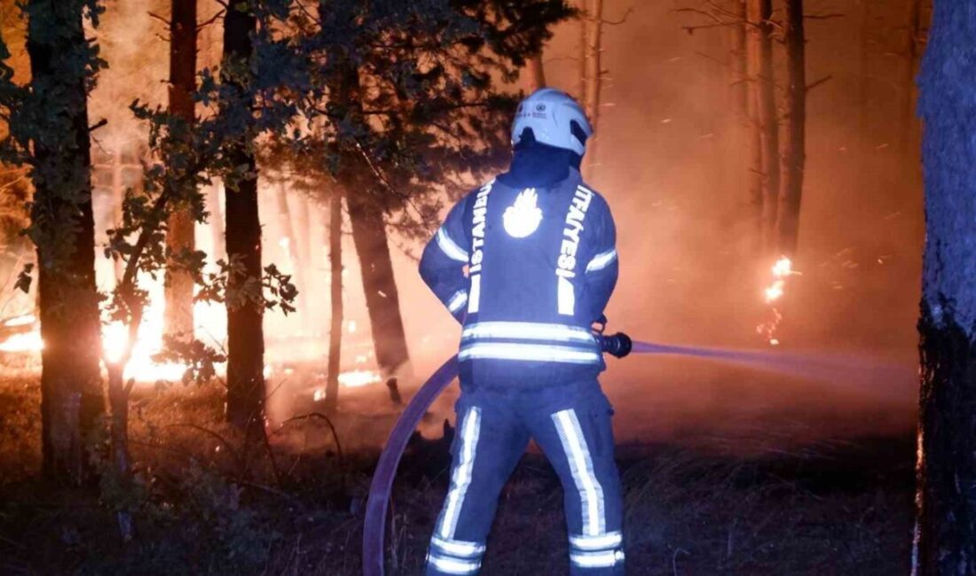 Edirne’de alevlerin devasa boyuta ulaştığı orman yangınında, yüzlerce vatandaş tahliye