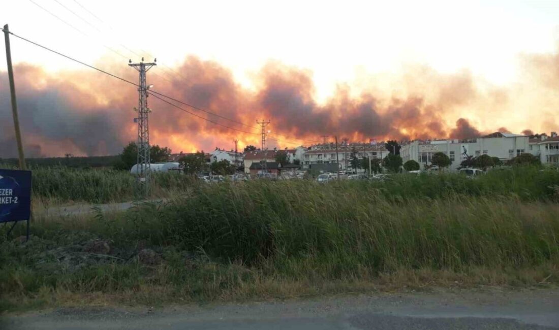 Edirne’nin Enez ilçesi Büyükevren köyü yakınlarındaki tarlada çıkan yangın, rüzgarın