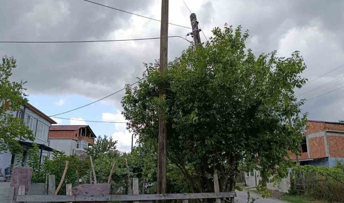 Samsun’un Çarşamba ilçesinde uzun süredir eğik durumda bulunduğu belirtilen ve