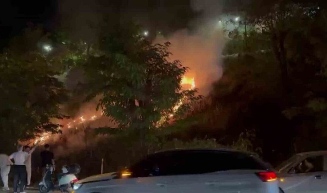 Sakarya’nın Sapanca ilçesinde eğlence için yakıldığı değerlendirilen meşale sebebiyle çıkan