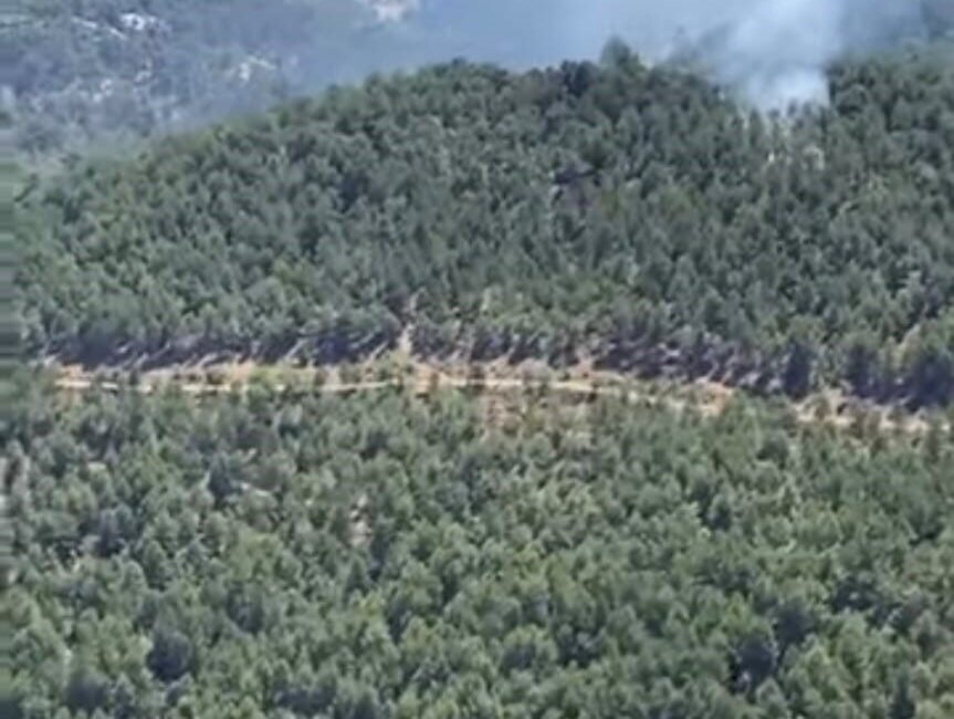 Aydın’ın İncirliova ilçesine bağlı Kırsal karagözler Mahallesi sınırlarında bulunan ormanlık