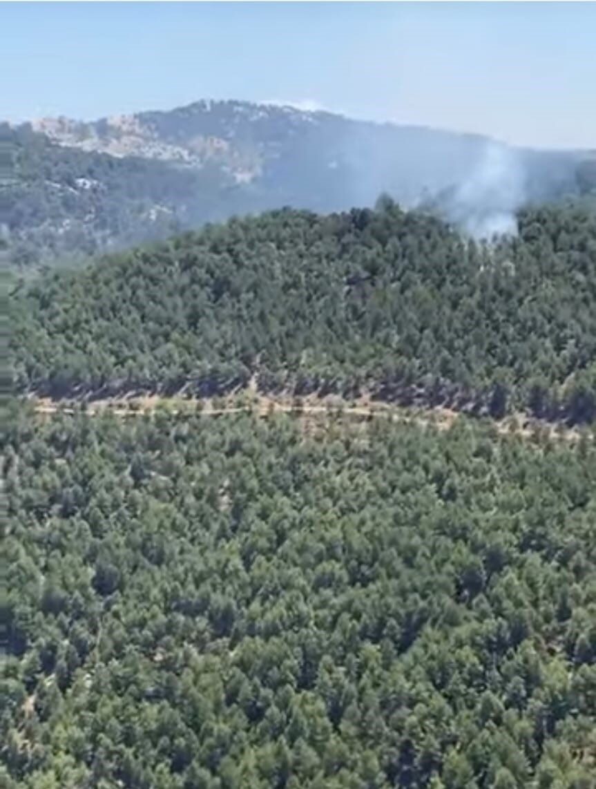 Aydın’ın İncirliova ilçesine bağlı Kırsal karagözler Mahallesi sınırlarında bulunan ormanlık