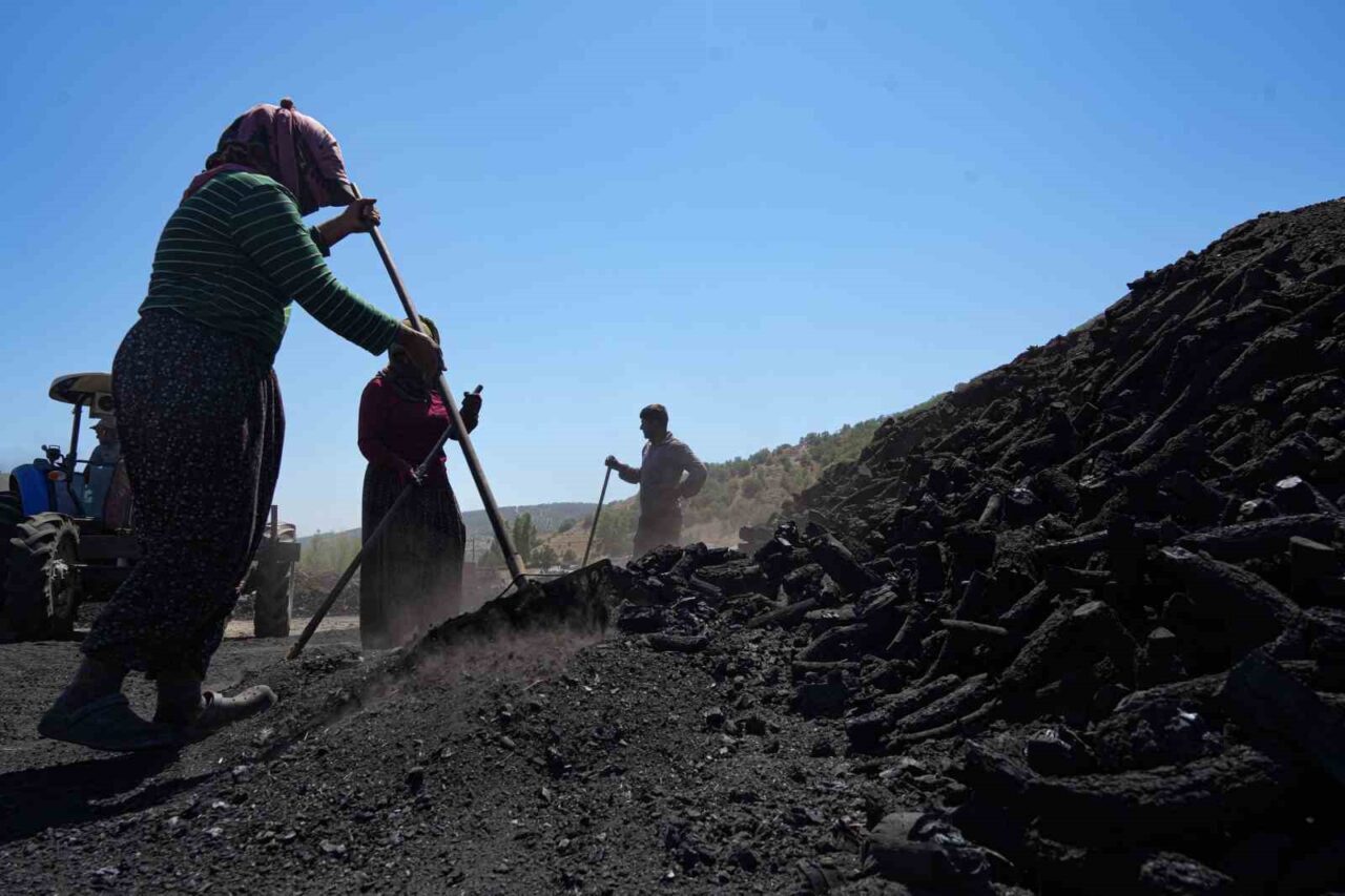 Mardin’den Ankara’ya gelen mevsimlik işçiler, yanan odun ateşinin başında sıcak
