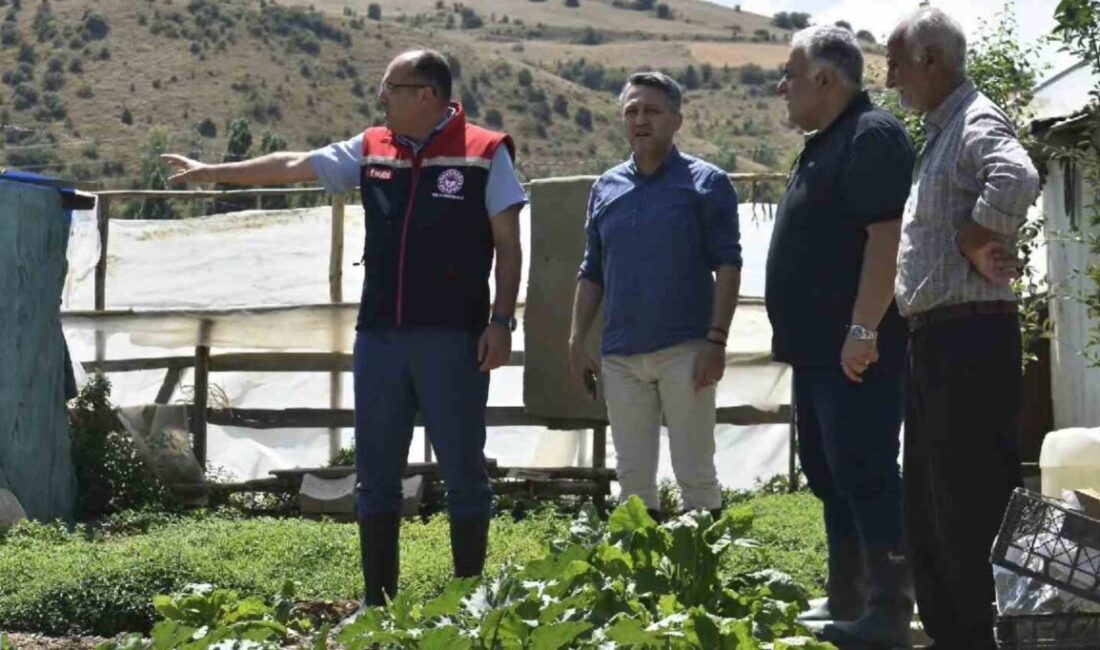 Bayburt İl Tarım ve Orman Müdürü Ebubekir Köse, İl Müdür